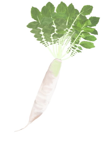 辛み抜き 大根