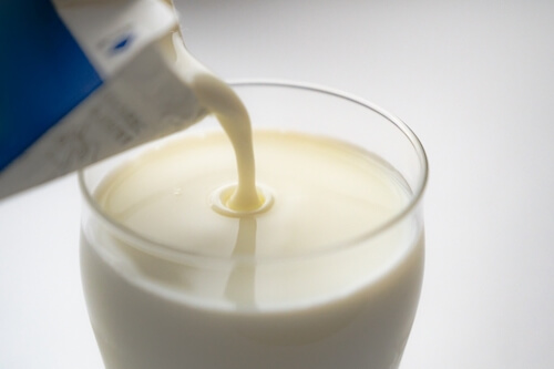 豆乳ヨーグルトと牛乳で作るヨーグルトとの栄養の違いを詳しく解説！