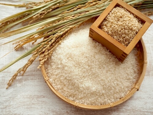 稲と升に入った玄米とカゴに入った米