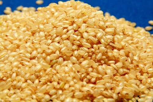 玄米の粒がたくさん盛られている様子